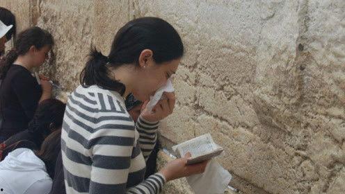 娱乐吃瓜君白鹿,娱乐吃瓜君的甜蜜蜕变之旅 第2张 娱乐吃瓜君白鹿,娱乐吃瓜君的甜蜜蜕变之旅 第2张