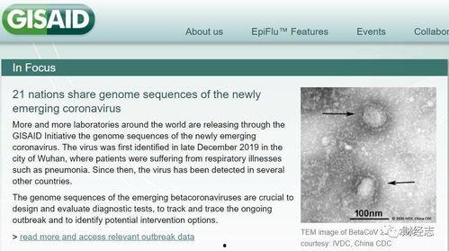 全球病毒最新爆料新闻 第2张 全球病毒最新爆料新闻 第2张